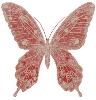 Pink butterfly